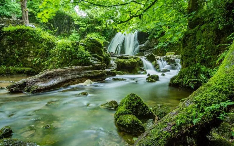 高质量智能智能系统